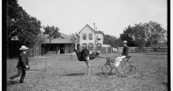 Oliver the Famous Trotting Ostrich
